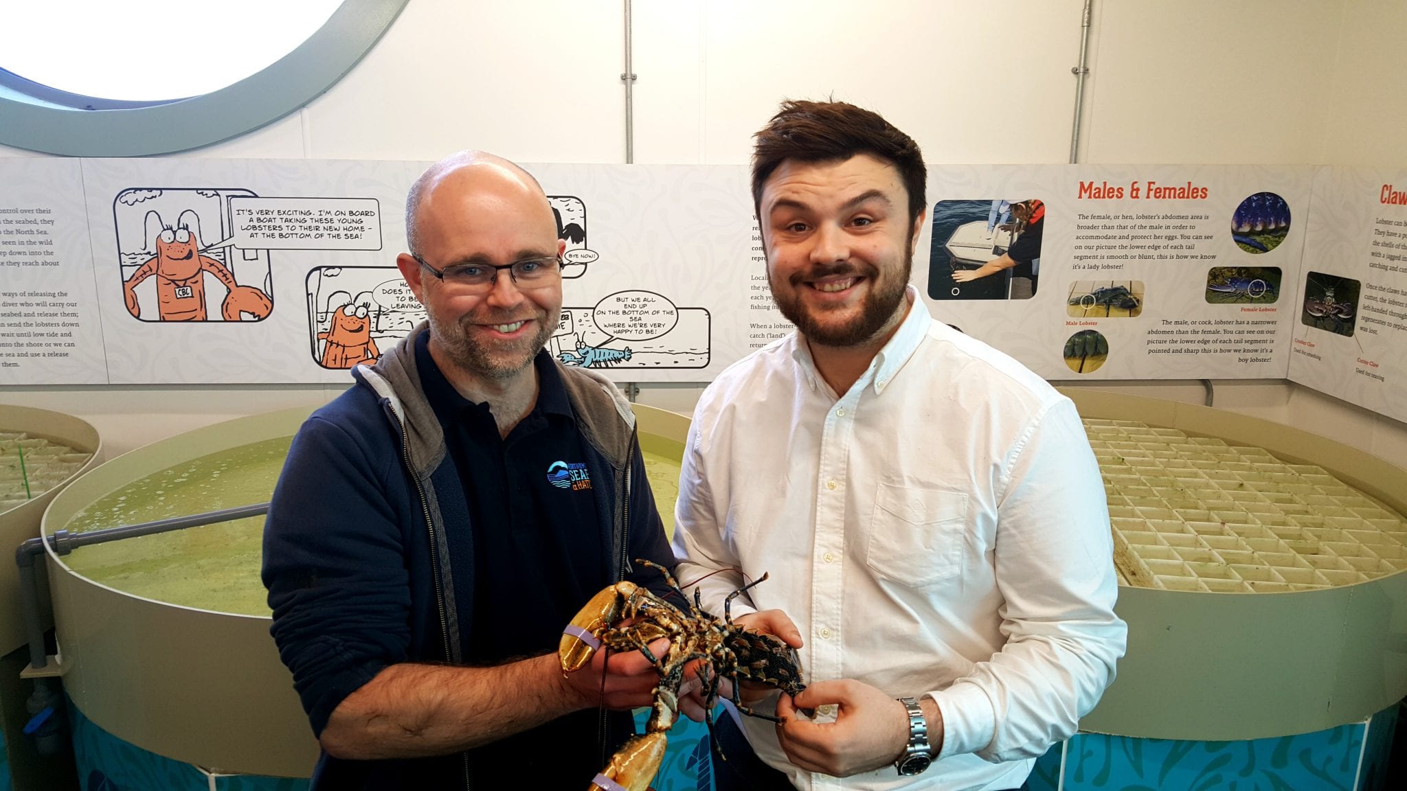 SOUTH SHIELDS SEAFOOD RESTAURANT COMMITS TO SUSTAINABILITY IN UNIQUE  LOBSTER INITIATIVE - Northern Insight Magazine