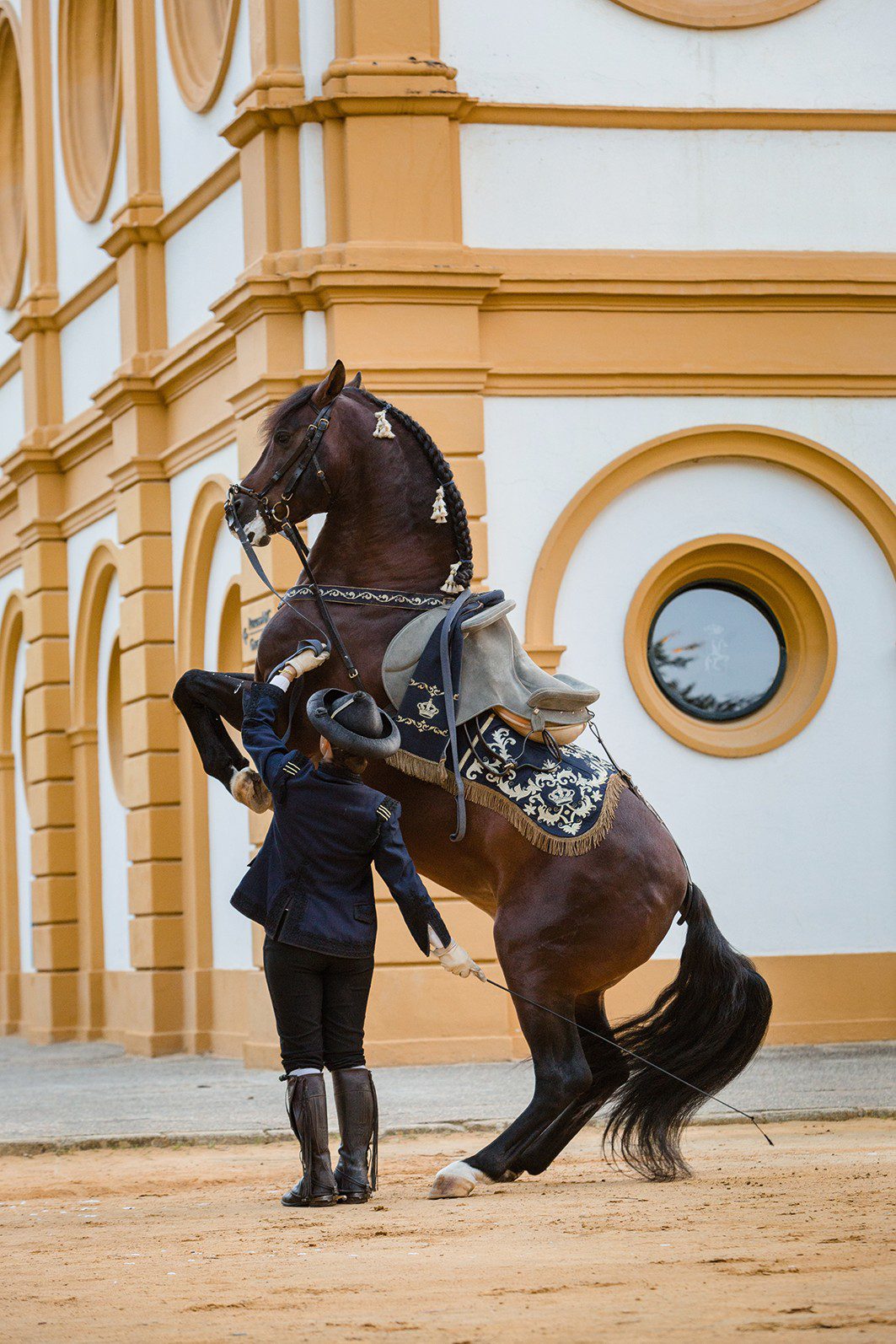 JEREZ DE LA FRONTERA THE CITY AND FESTIVAL OF THE HORSE Northern